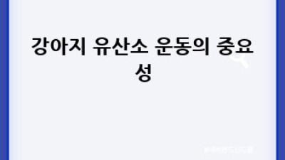댕댕이 건강 팡팡! 강아지 유산소 운동 BEST 가이드