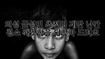 의성 금성면 초전리 계단 난간 청소: 깨끗함을 되찾아 드려요! ✨