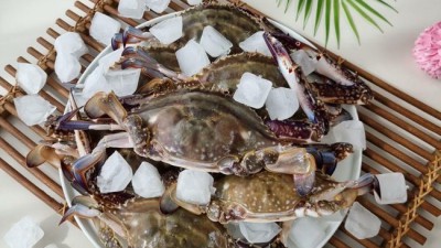 놓치면 후회!🦀 이마트 햇꽃게 리얼 후기 & 할인 꿀팁 대방출!